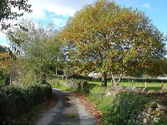 DSCN6398 DSCN6398