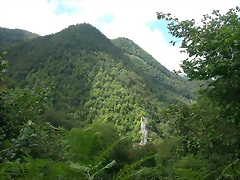 DSCN4305 DSCN4305