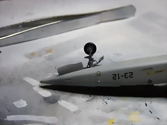 P1060020 P1060020