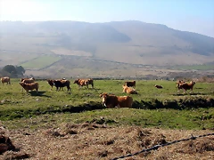 DSCN8136