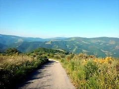 DSCN4730 DSCN4730