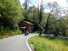 DSCN0603 DSCN0603