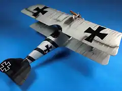 Pfalz F