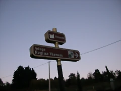 DSCN6574