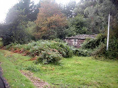 DSCN8393 DSCN8393