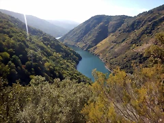 DSCN1451 DSCN1451