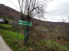 DSCN8964 DSCN8964