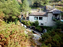 DSCN8475 DSCN8475