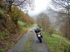 DSCN2769 DSCN2769