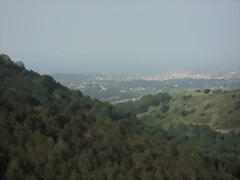 DSC00104