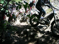 DSCN2598 DSCN2598