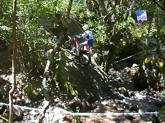 DSCN2622 DSCN2622