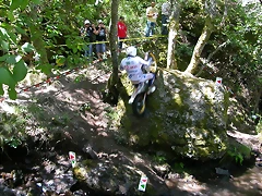 DSCN2604 DSCN2604