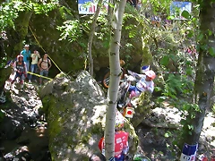 DSCN2636 DSCN2636