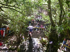 DSCN2628 DSCN2628