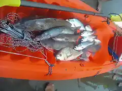 buena pesca