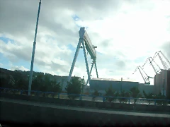 DSCN7546 DSCN7546