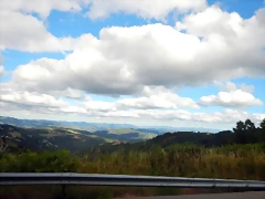 DSCN4098 DSCN4098