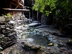 DSCN7919 DSCN7919