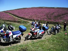 DSCF2549 DSCF2549