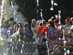 17, ofrenda de flores, marca