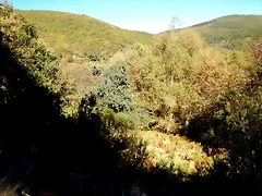 DSCN7947 DSCN7947