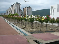DSCN3140 DSCN3140