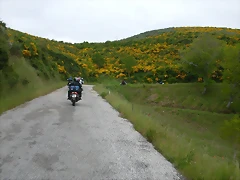 DSCN3176 DSCN3176