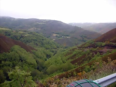 DSCN3394 DSCN3394