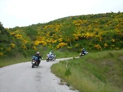 DSCN3177 DSCN3177