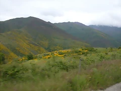 DSCN3180 DSCN3180