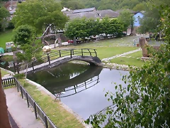 DSCN3373 DSCN3373