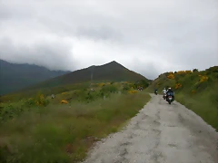 DSCN3181 DSCN3181