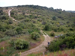 DSCN3234 DSCN3234