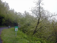 DSCN3402 DSCN3402