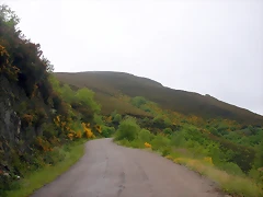 DSCN3390 DSCN3390