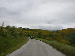 DSCN3171 DSCN3171