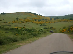 DSCN3205 DSCN3205