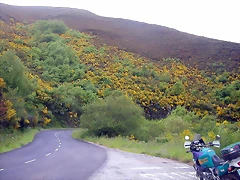 DSCN3393 DSCN3393