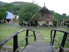 DSCF0020