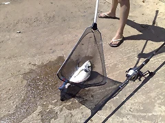 23082010635 23082010635