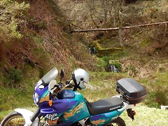 DSCN9047.JPEG DSCN9047.JPEG