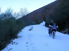 DSCN6847