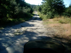 P1010127 P1010127