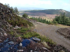DSCN7667 DSCN7667