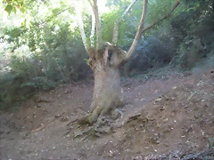 IMG_0243 IMG_0243
