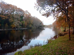 DSCN0753 DSCN0753