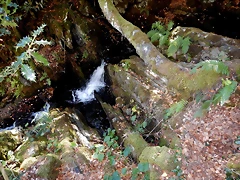 DSCN7867 DSCN7867
