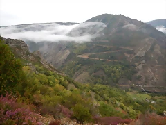 DSCN8460 DSCN8460