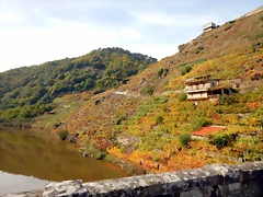 DSCN0626 DSCN0626